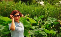 秦纲最新消息是间谍吗